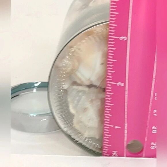 Florida Seashells in Glass Jar with cork Stopper NWOT Handmade Custom Gift - Picture 4 of 16